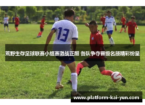 荒野生存足球联赛小组赛激战正酣 各队争夺晋级名额精彩纷呈 荒野生存足球联赛小组赛激战正酣 各队争夺晋级名额精彩纷呈