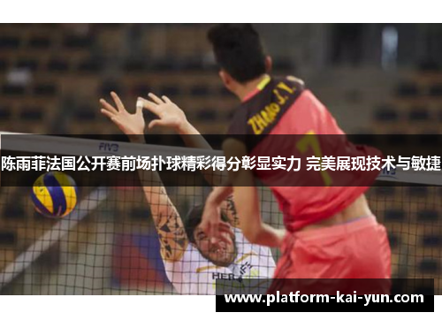 陈雨菲法国公开赛前场扑球精彩得分彰显实力 完美展现技术与敏捷 陈雨菲法国公开赛前场扑球精彩得分彰显实力 完美展现技术与敏捷